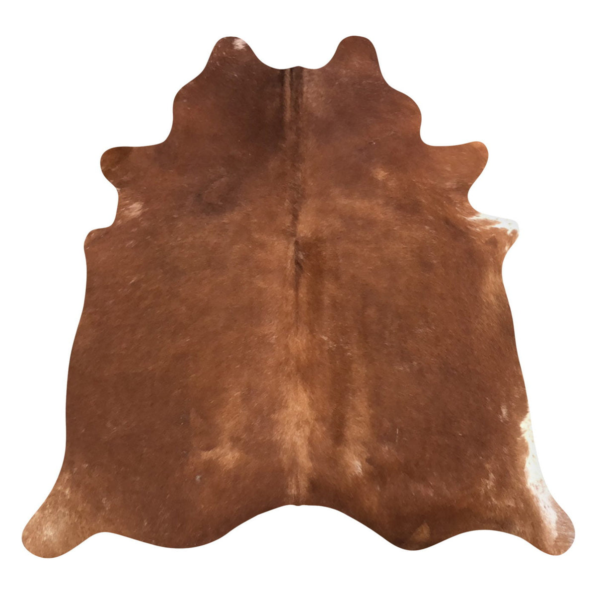 Natural Brazilian Cowhide Rug - Mocha & Ivory