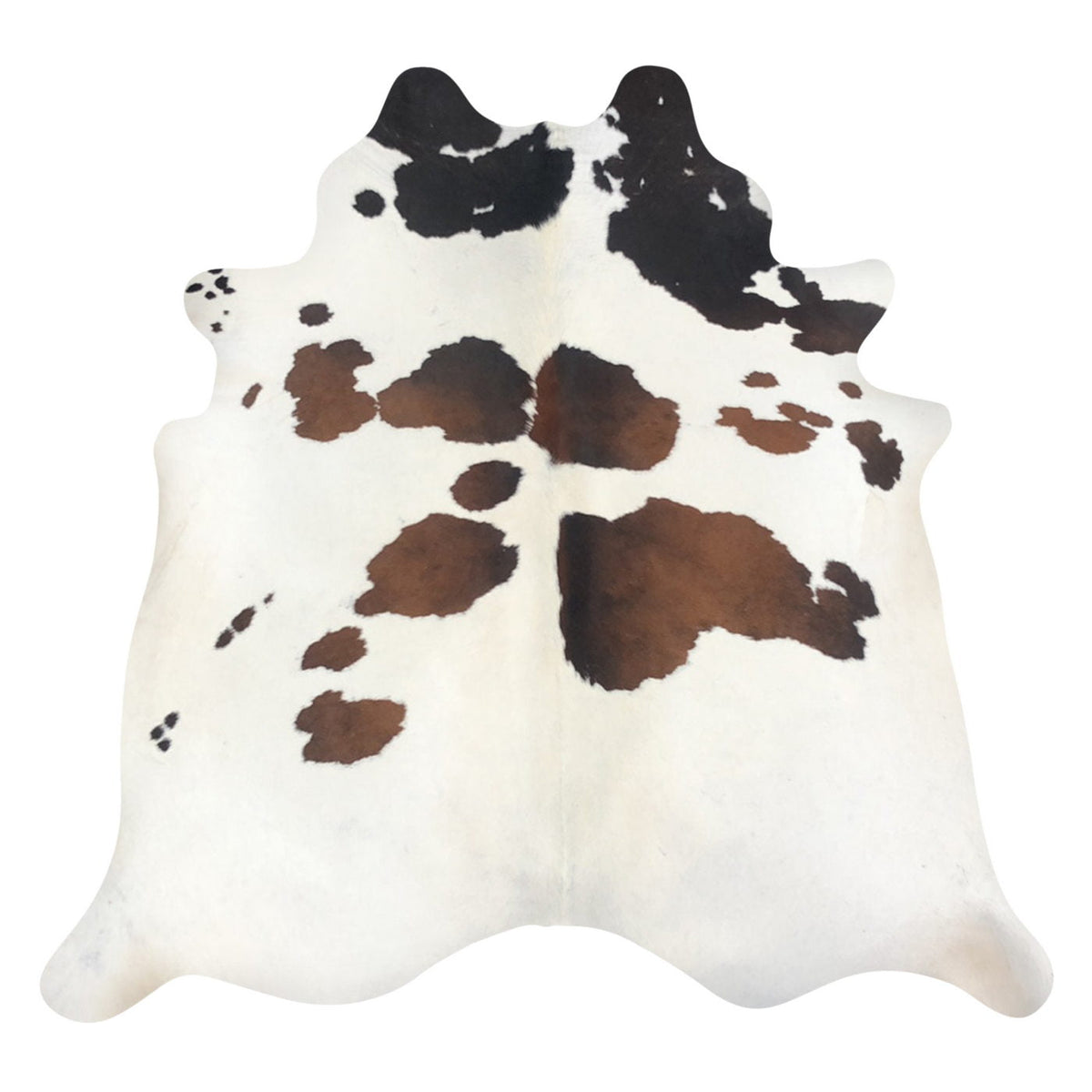 Natural Brazilian Cowhide Rug - Ivory, Mocha & Espresso
