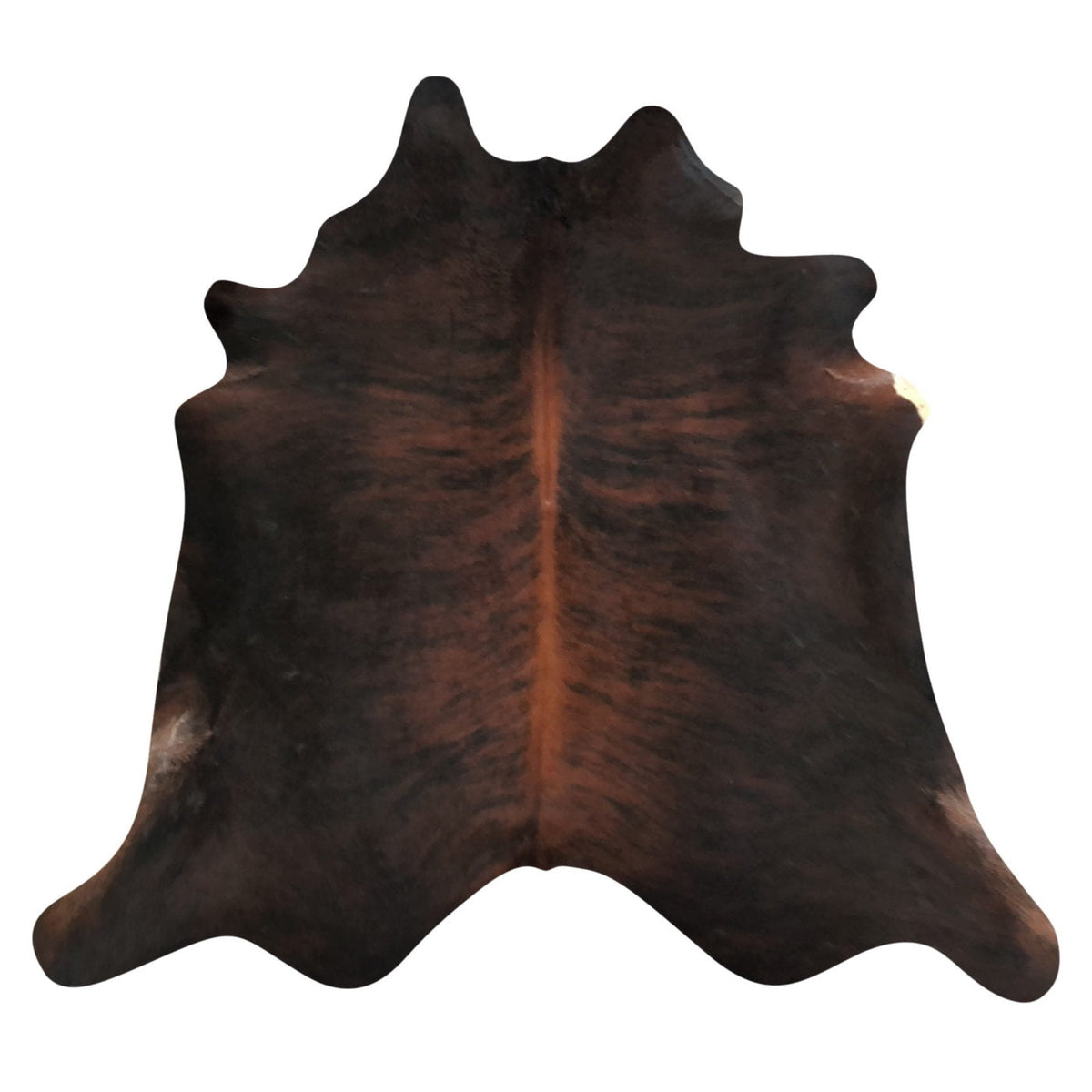 Natural Brazilian Cowhide Rug - Espresso, Mocha & Ivory