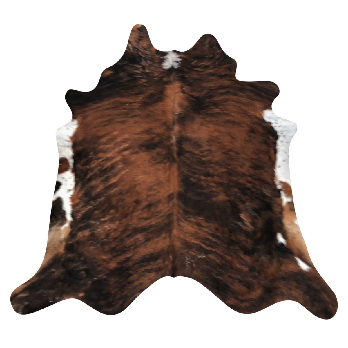 Natural Brazilian Cowhide Rug - Mocha, Espresso & Ivory