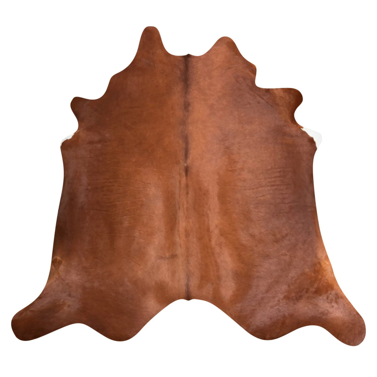 Natural Brazilian Cowhide Rug - Mocha & Ivory