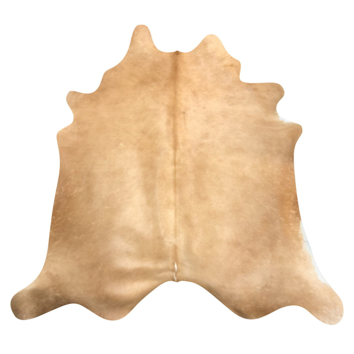Natural Brazilian Cowhide Rug - Caramel & Ivory