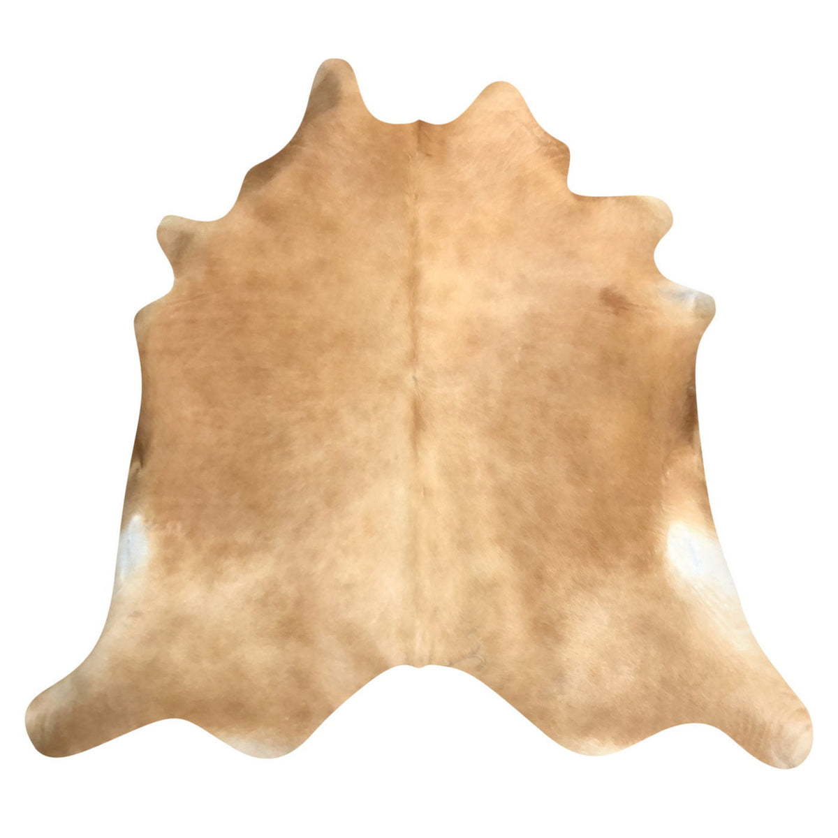 Natural Brazilian Cowhide Rug - Caramel & Ivory