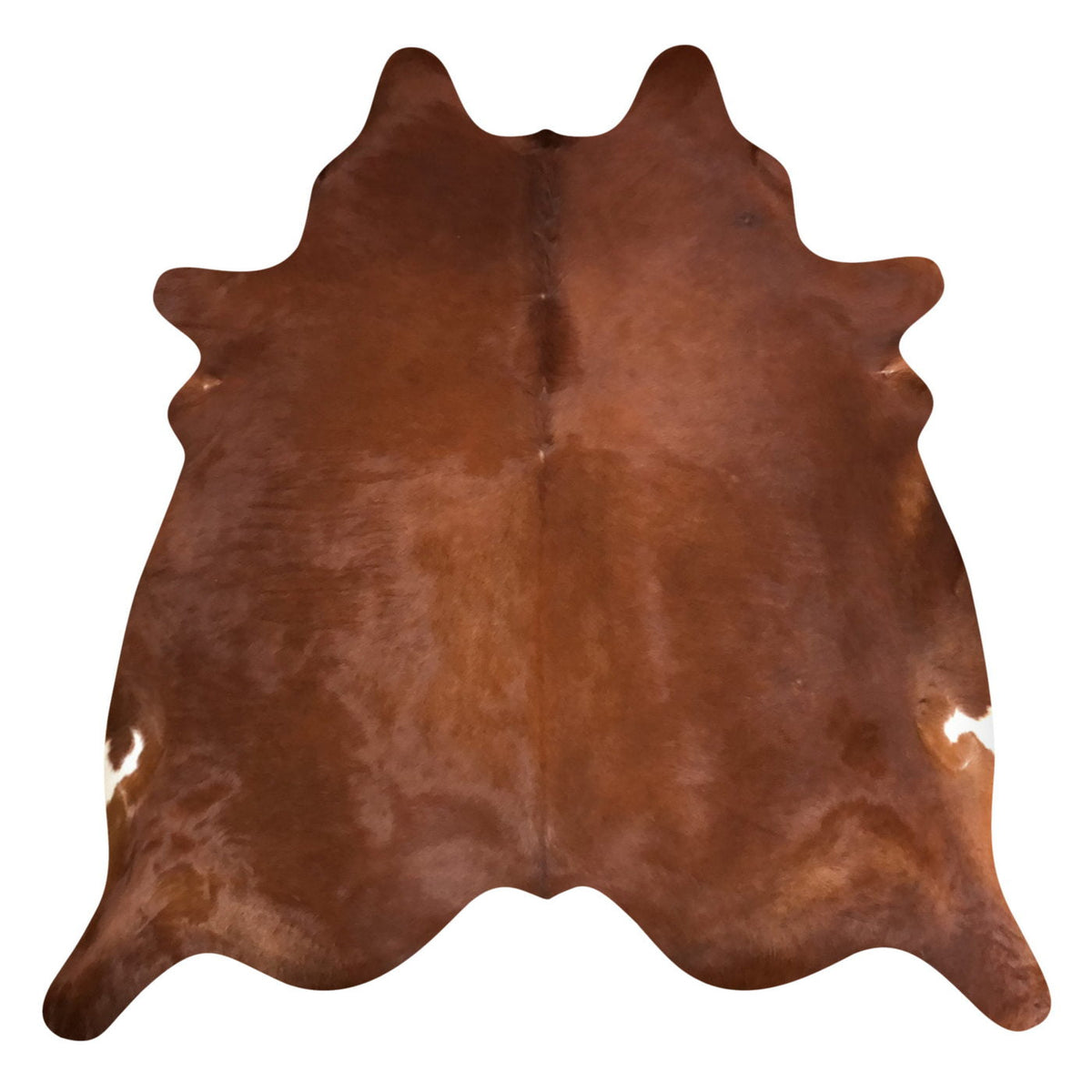 Natural Brazilian Cowhide Rug - Mocha & Ivory
