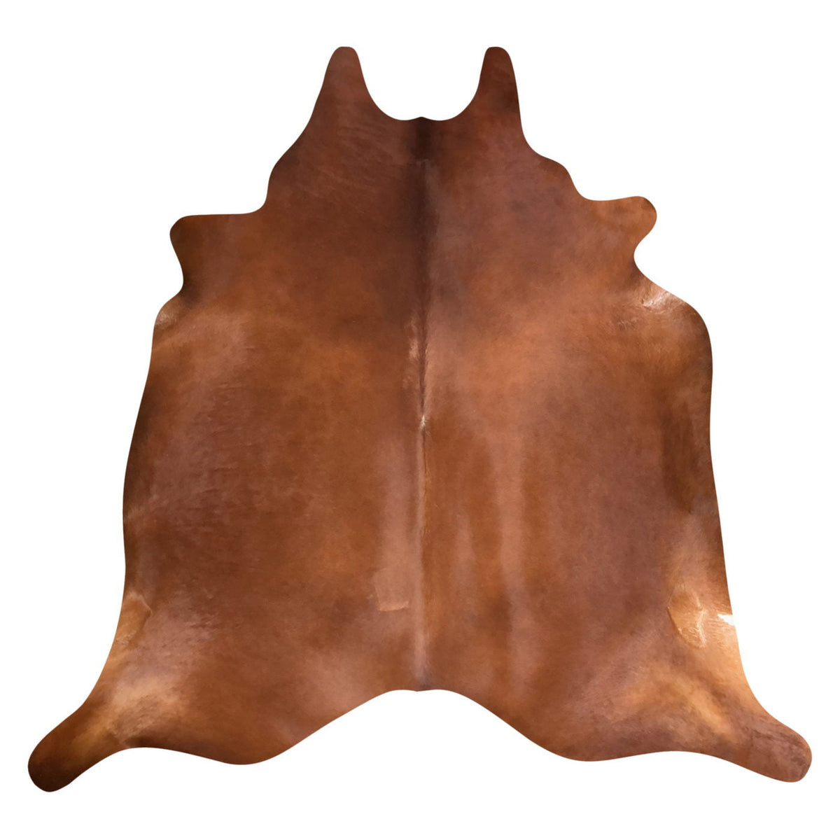 Natural Brazilian Cowhide Rug - Mocha & Ivory