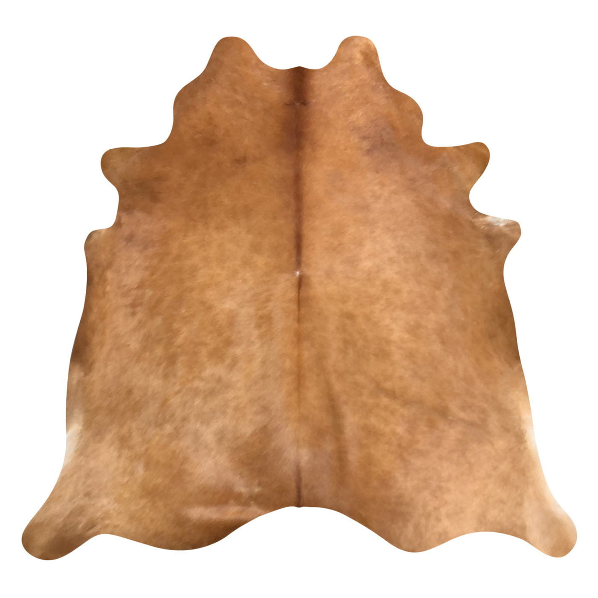 Natural Brazilian Cowhide Rug - Caramel & Ivory