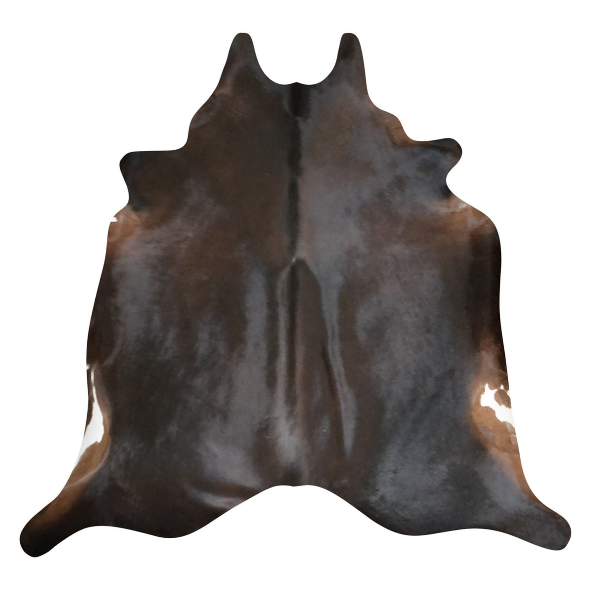 Natural Brazilian Cowhide Rug - Espresso, Mocha & Ivory