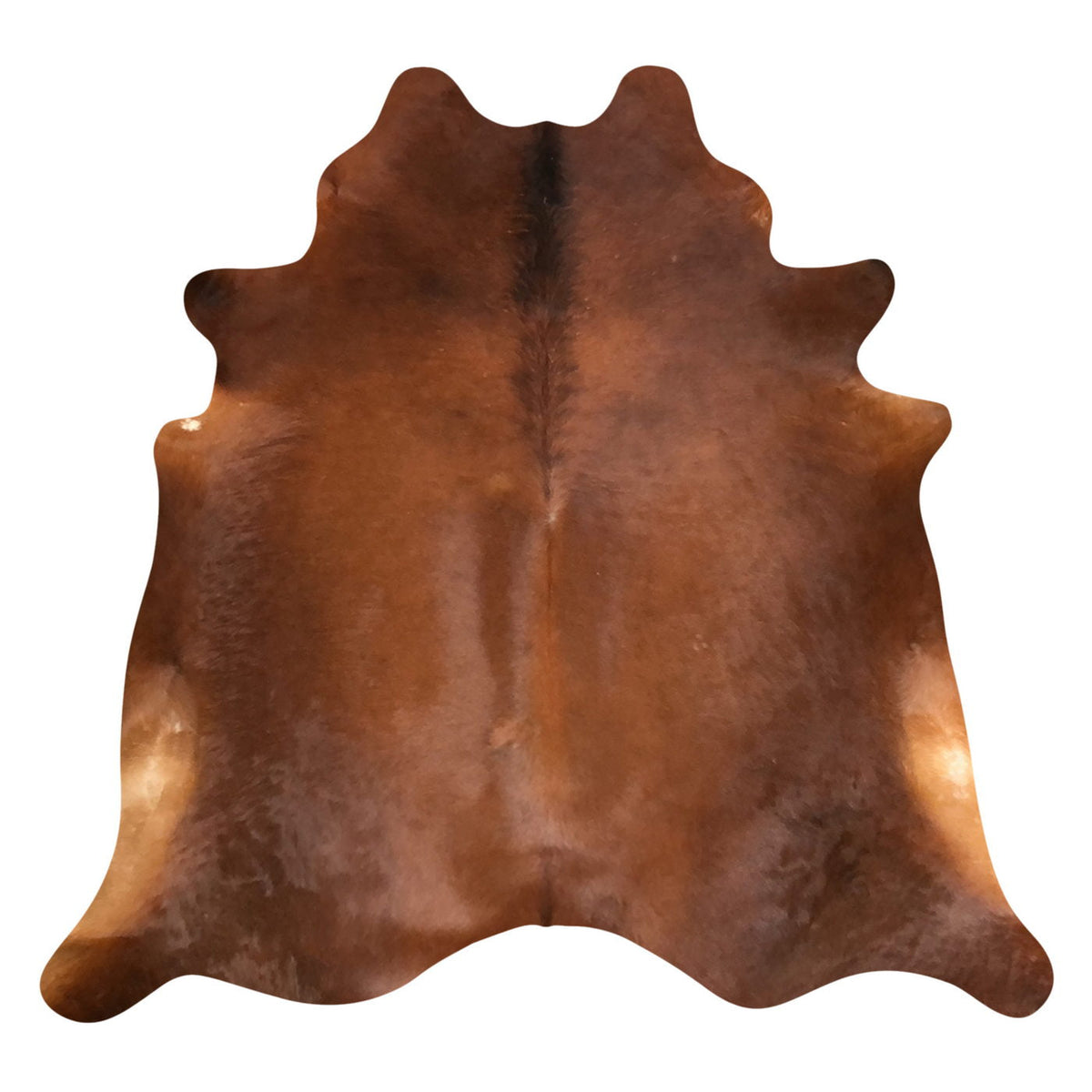 Natural Brazilian Cowhide Rug - Mocha & Ivory