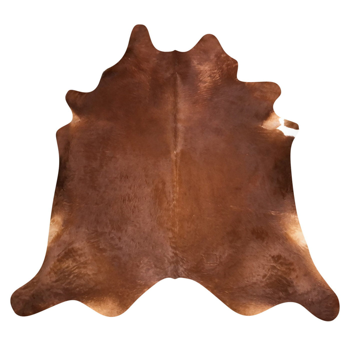 Natural Brazilian Cowhide Rug - Mocha & Ivory