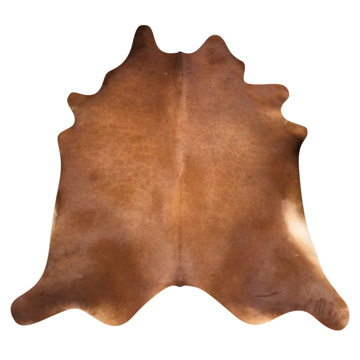 Natural Brazilian Cowhide Rug - Mocha & Caramel