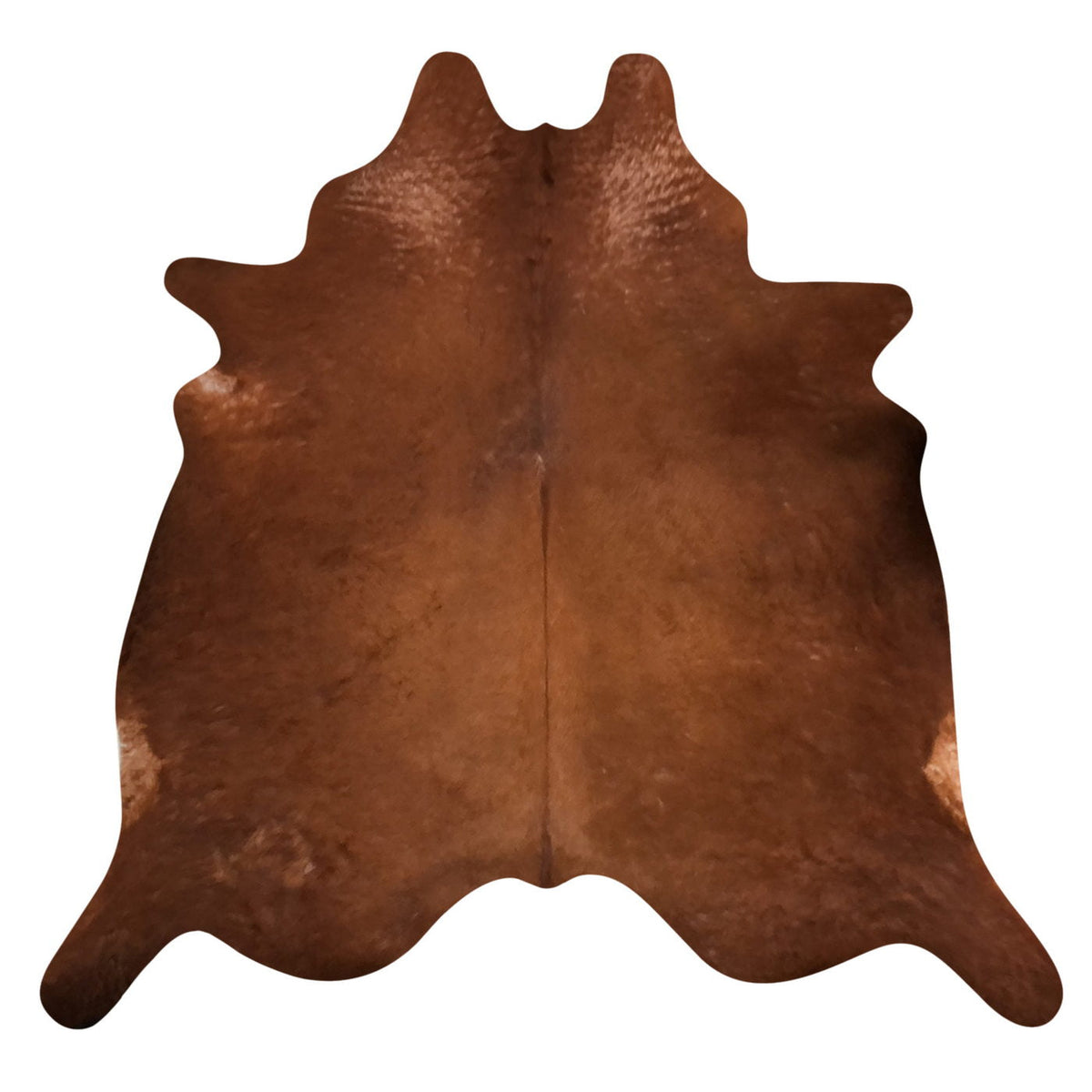 Natural Brazilian Cowhide Rug - Mocha