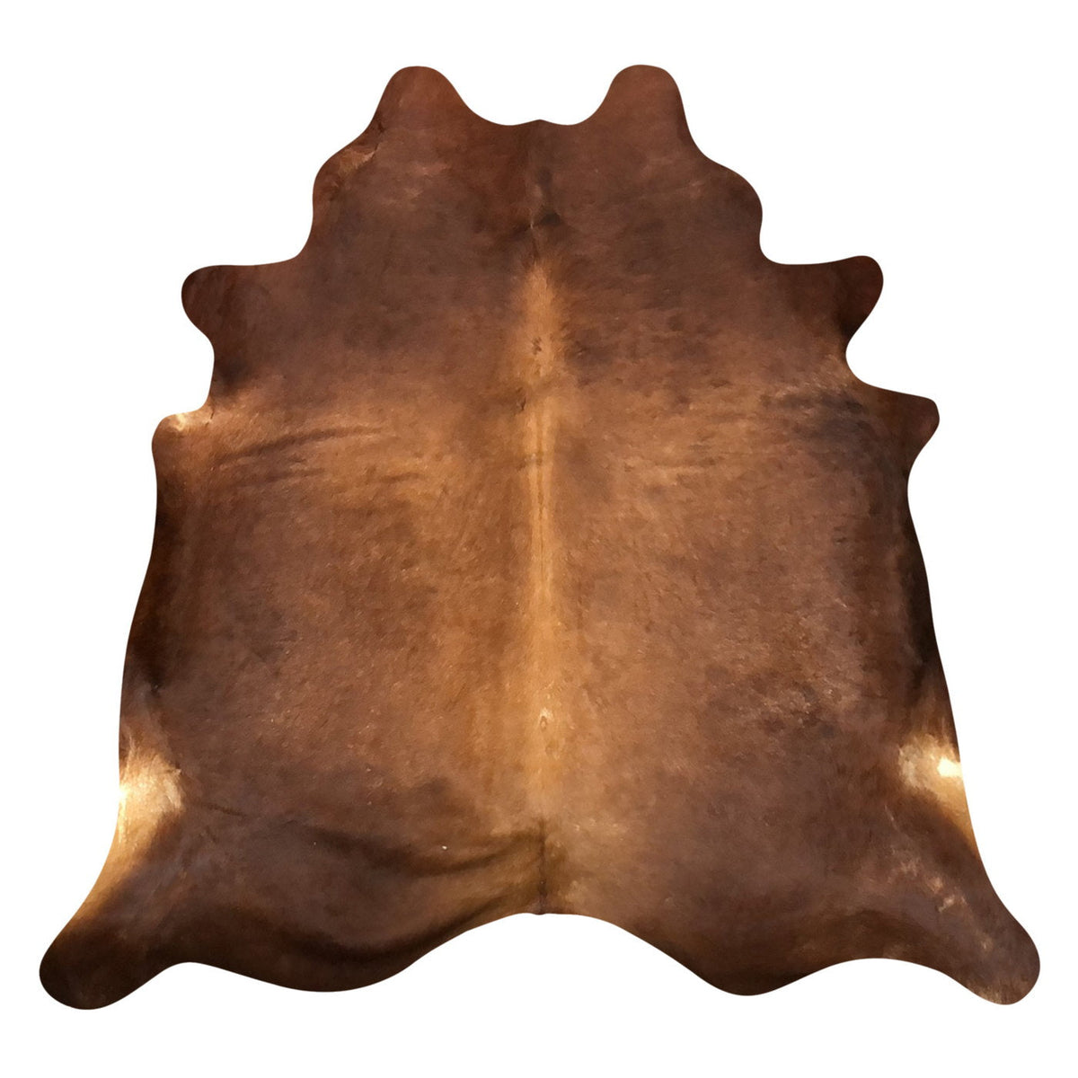 Natural Brazilian Cowhide Rug - Mocha, Caramel & Ivory