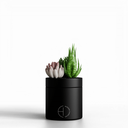 The Hidden Candle