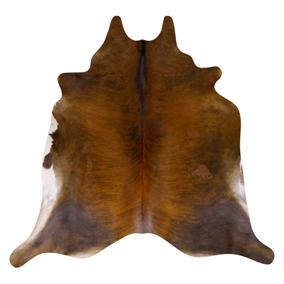 Natural Brazilian Cowhide Rug - Caramel, Espresso & Ivory