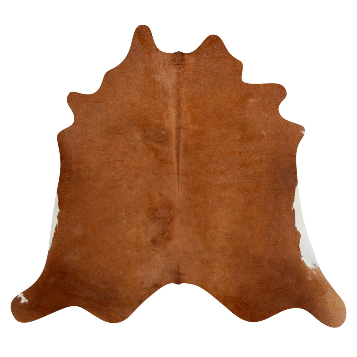 Natural Argentine Cowhide 5 3 X 5 3 Buy On ICowhide natural-argentine-cowhide-5-3-x-5-3-buy-on-icowhide