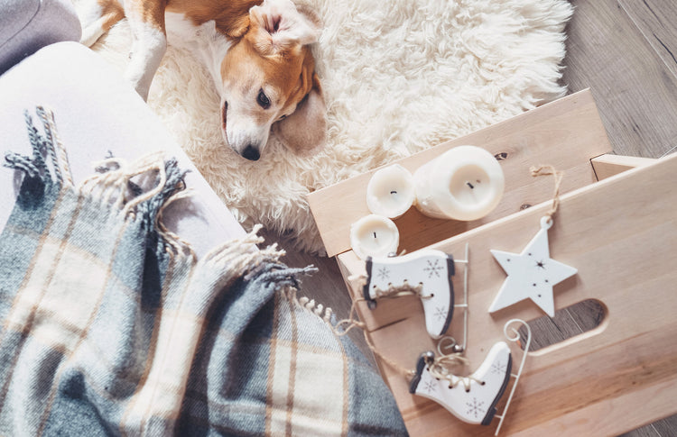 Sheepskin Rugs