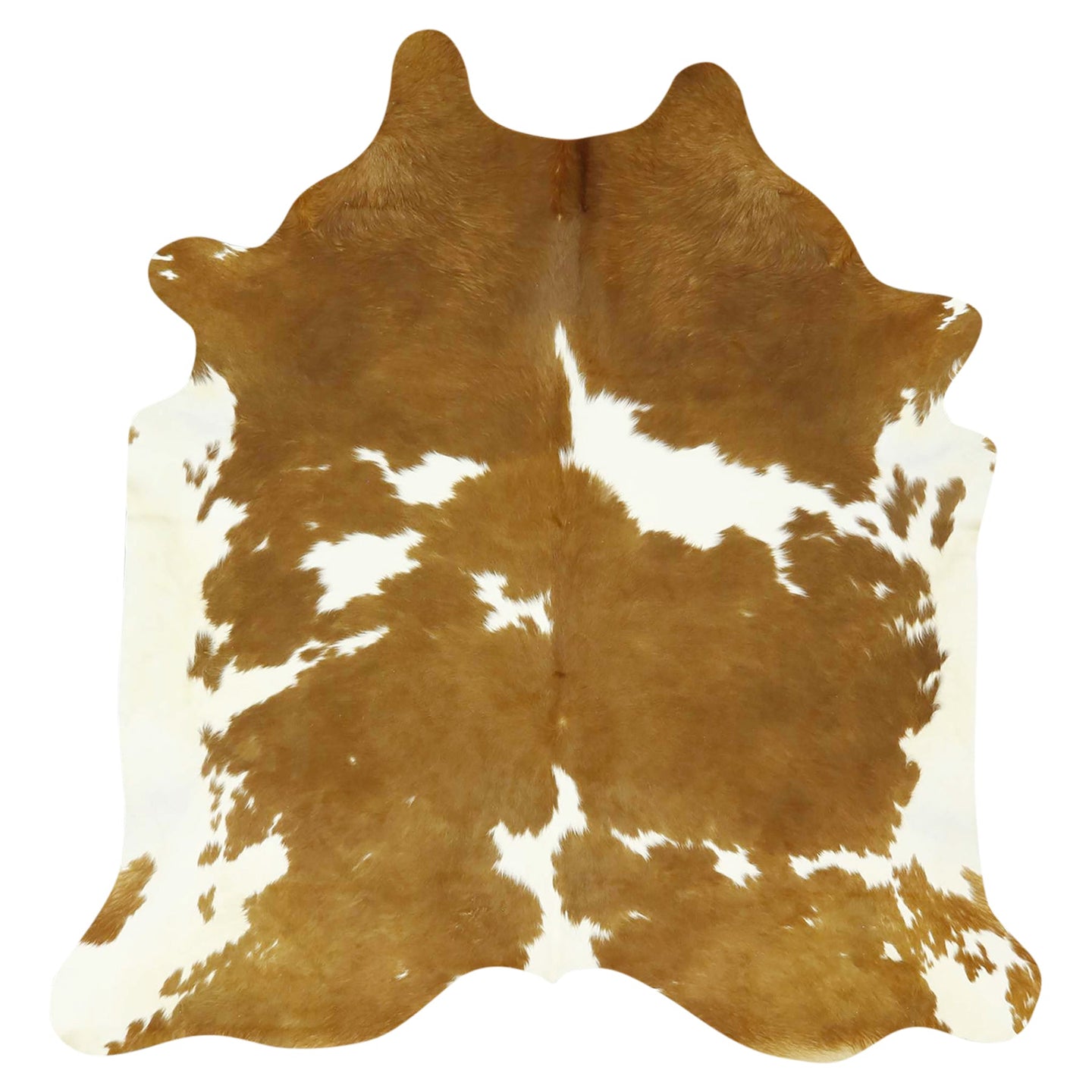 Premium Exotic Cowhide -  