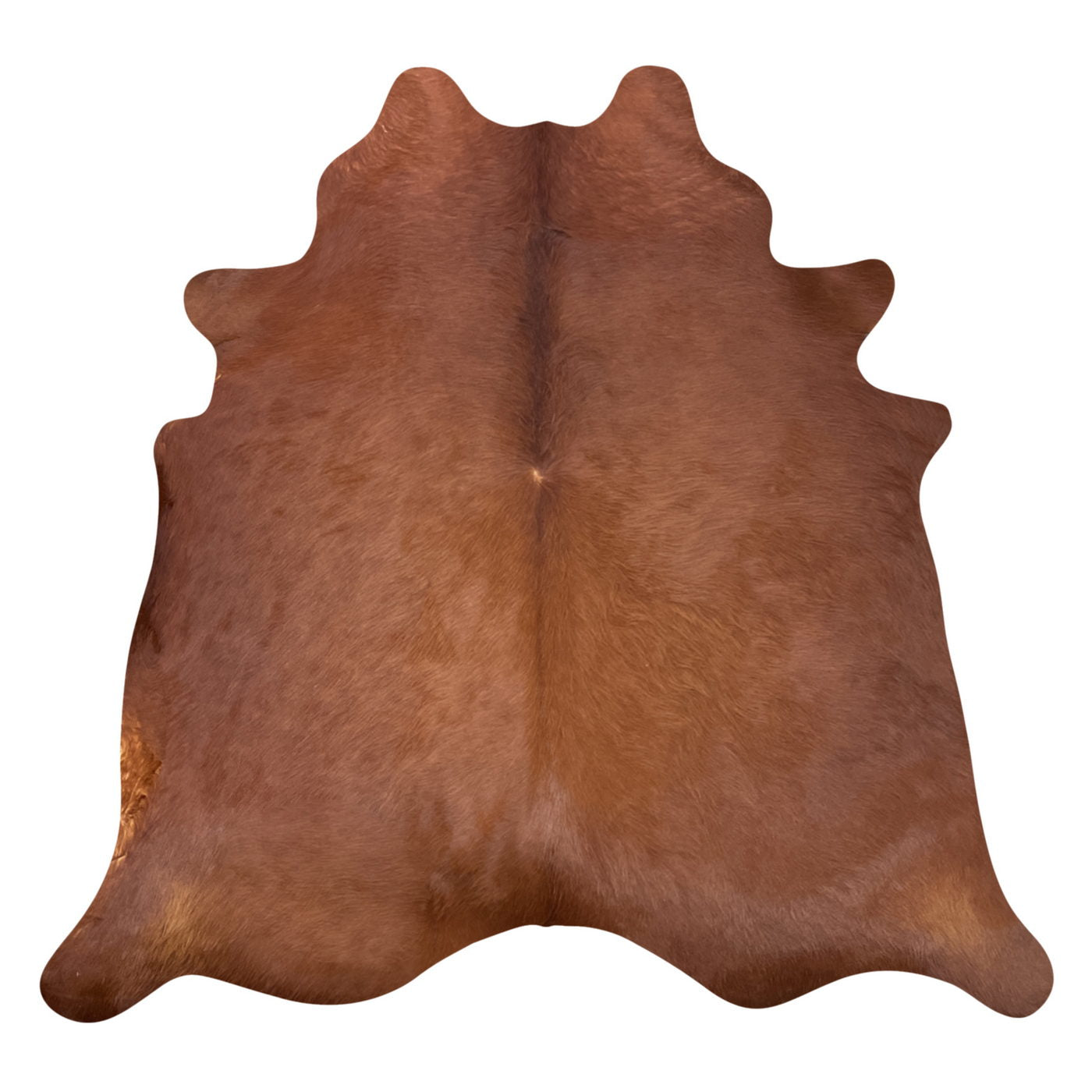 Natural Brazilian Cowhide Rug -  Mocha