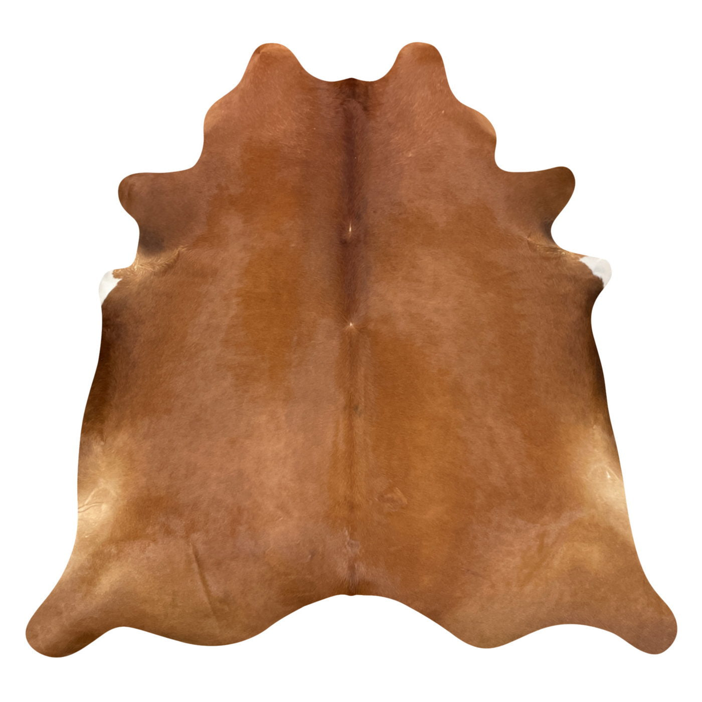 Natural Brazilian Cowhide Rug -  Mocha & Ivory