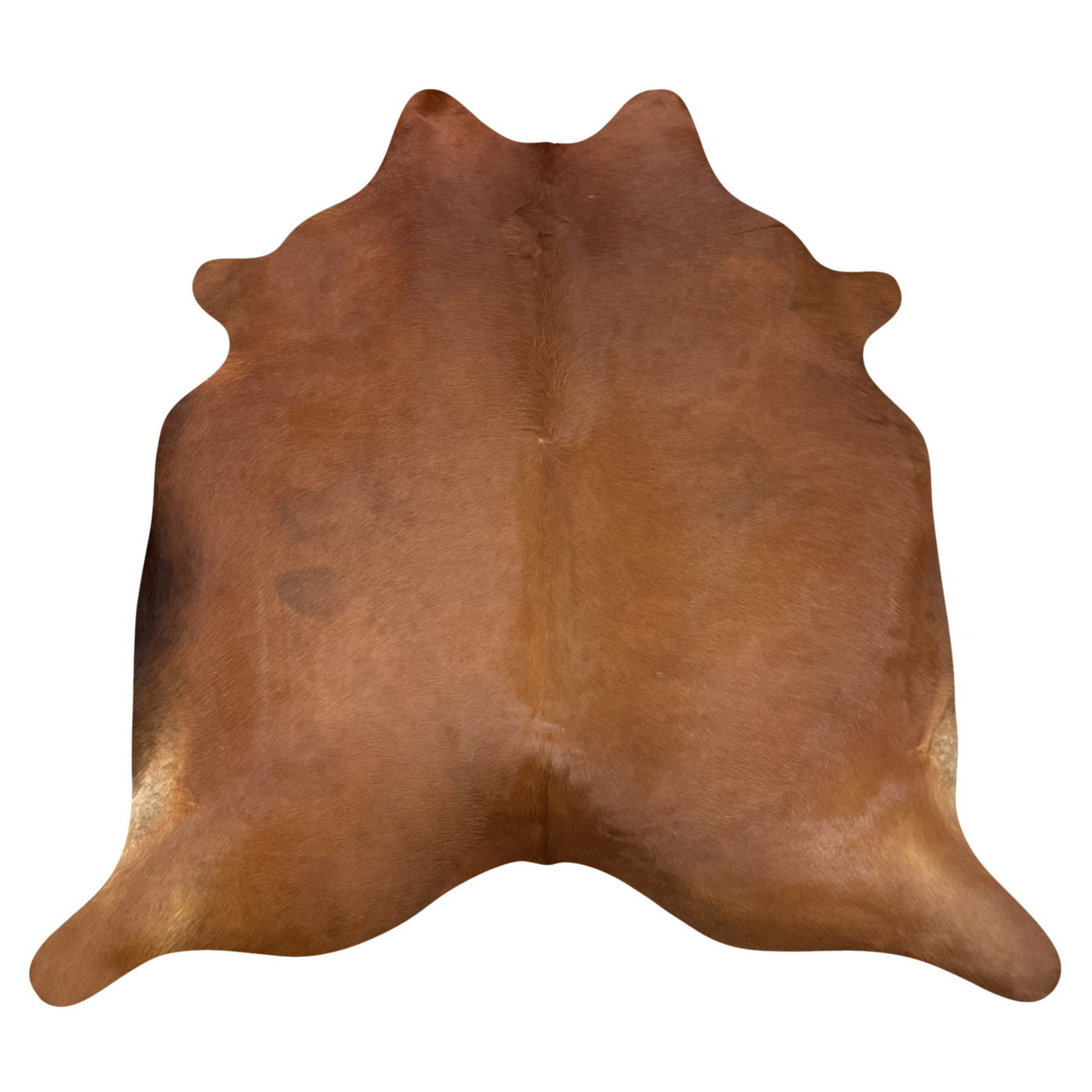 Natural Brazilian Cowhide Rug -  Mocha