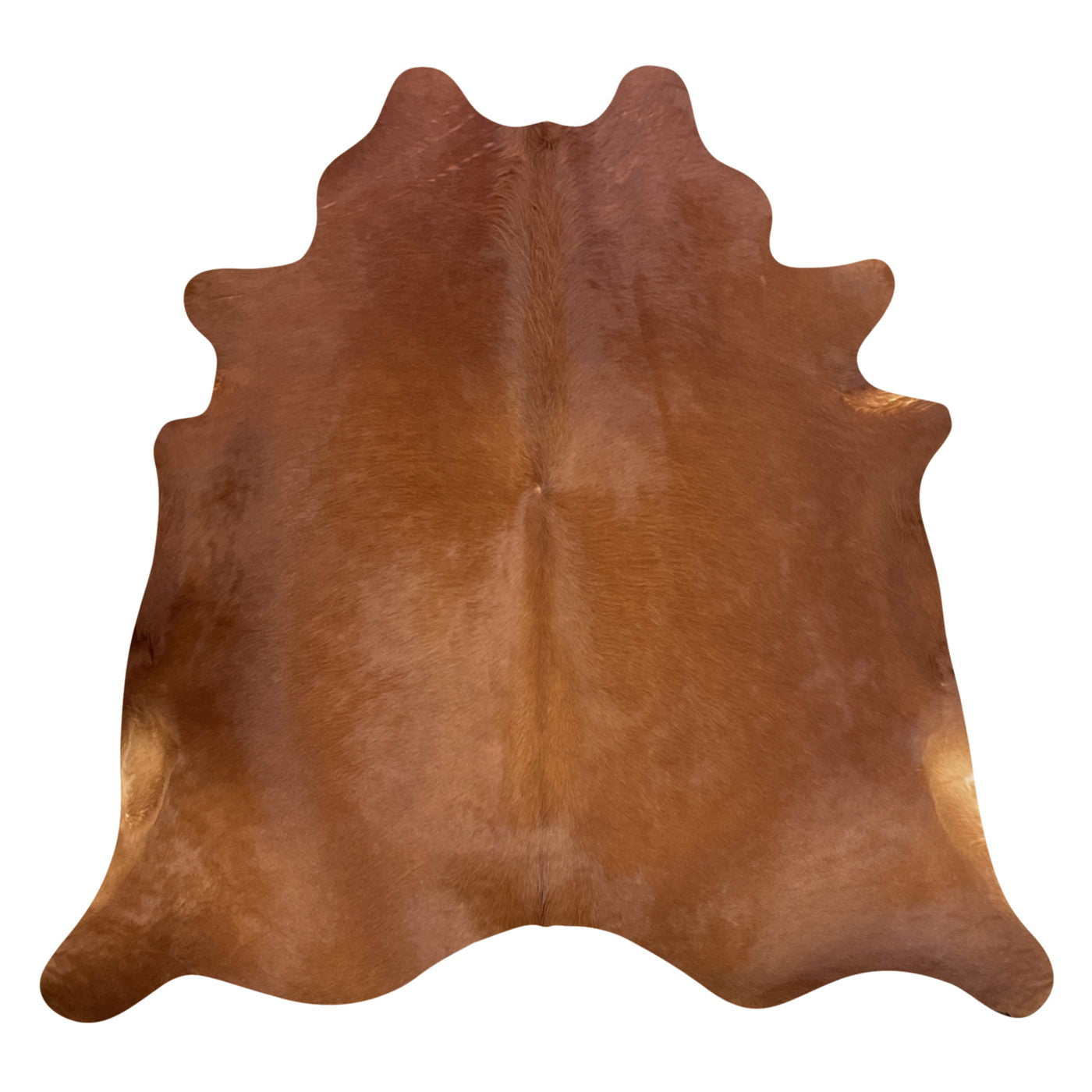 Natural Brazilian Cowhide Rug -  Mocha