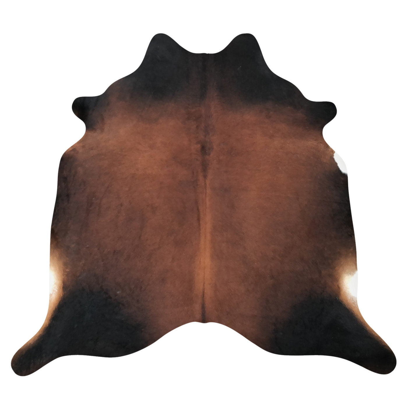 Natural Brazilian Cowhide Rug -  Mocha, Espresso & Ivory