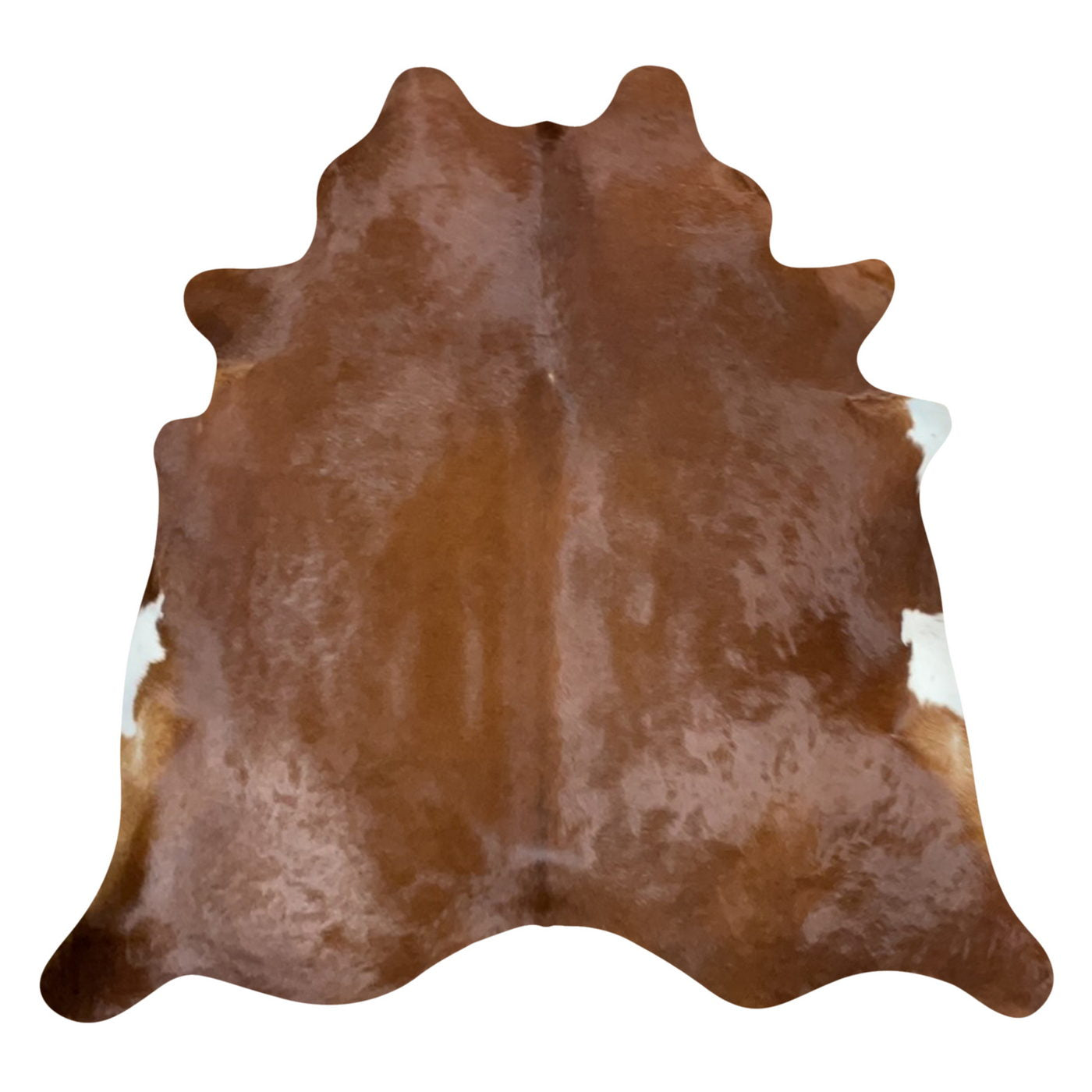 Natural Brazilian Cowhide Rug -  Mocha & Ivory