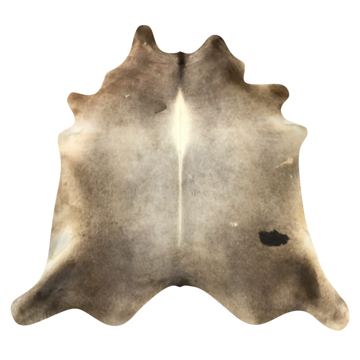 Natural Brazilian Cowhide Rug -  Caramel, Ivory & Espresso