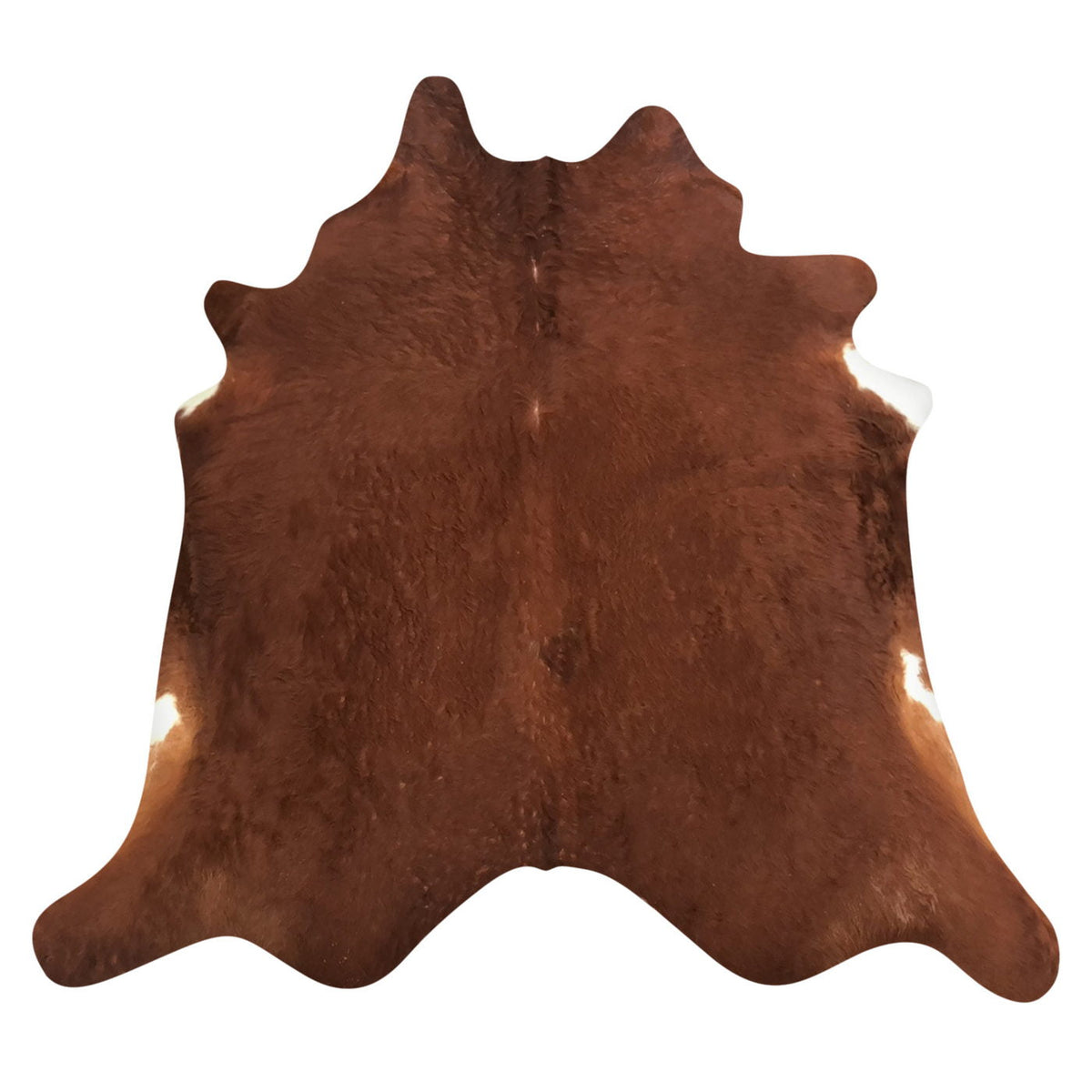 Natural Brazilian Cowhide Rug -  Mocha & Ivory