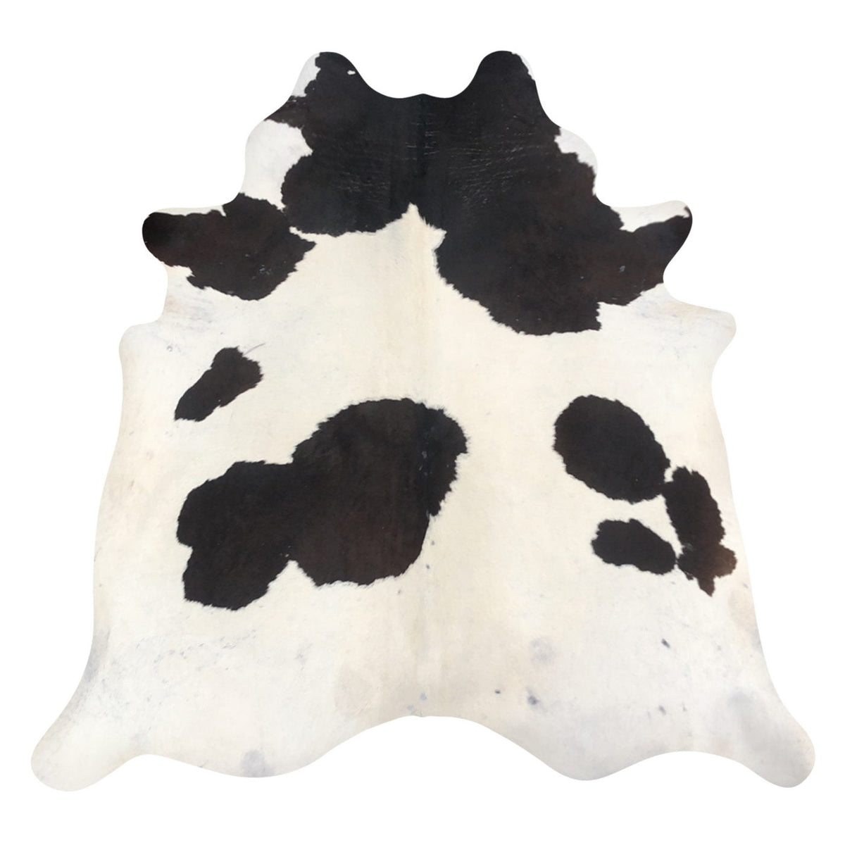 Natural Brazilian Cowhide Rug -  Ivory & Espresso
