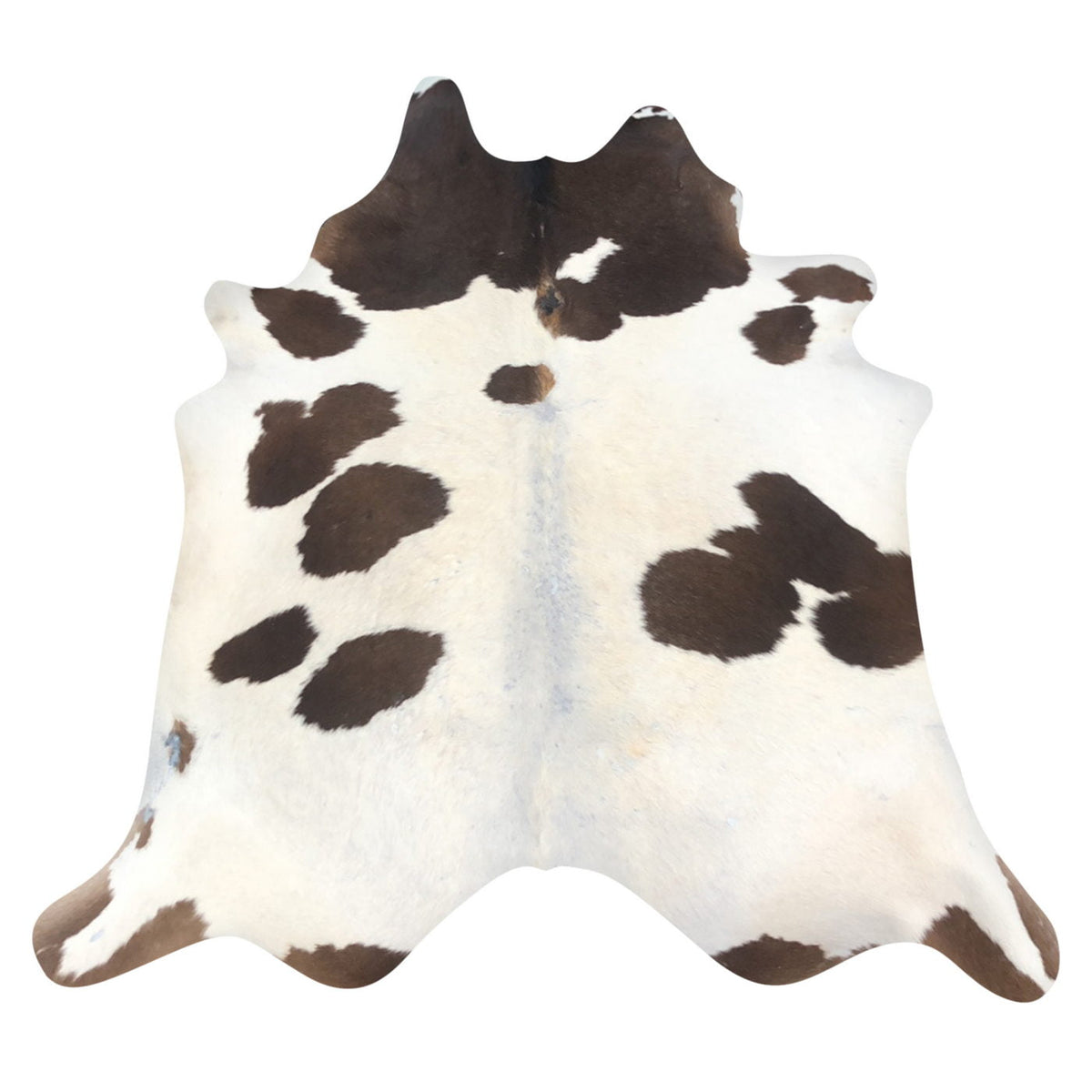 Natural Brazilian Cowhide Rug -  Ivory, Espresso & Caramel