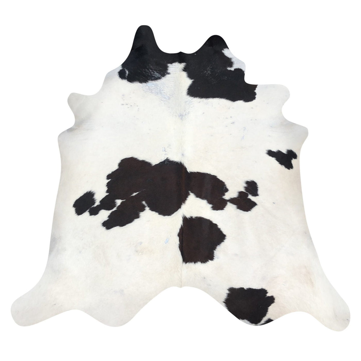 Natural Brazilian Cowhide Rug -  Ivory & Espresso