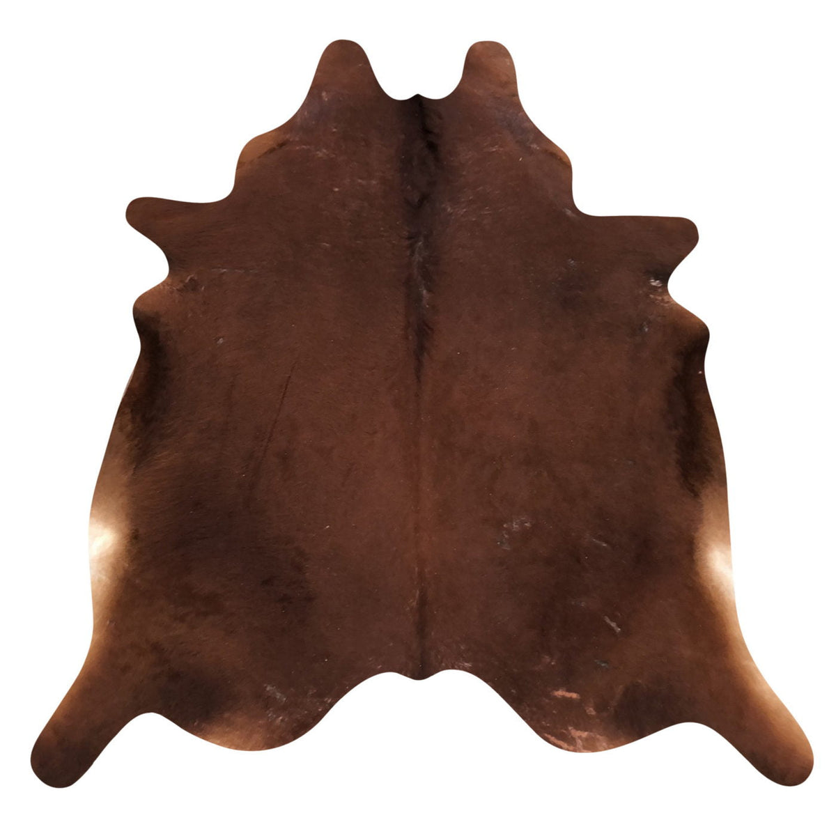 Natural Brazilian Cowhide Rug -  Mocha, Caramel & Ivory