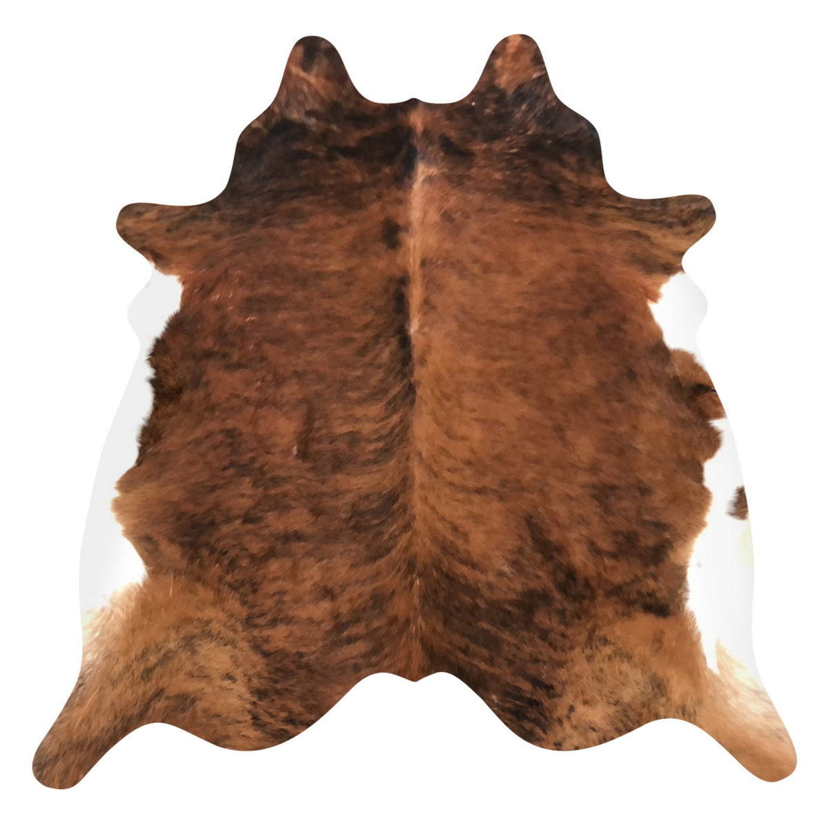 Natural Brazilian Cowhide Rug -  Mocha, Espresso & Ivory