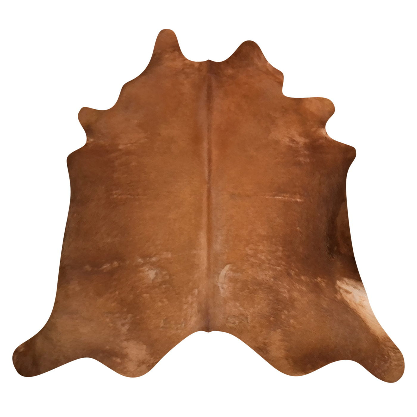 Natural Brazilian Cowhide Rug -  Mocha