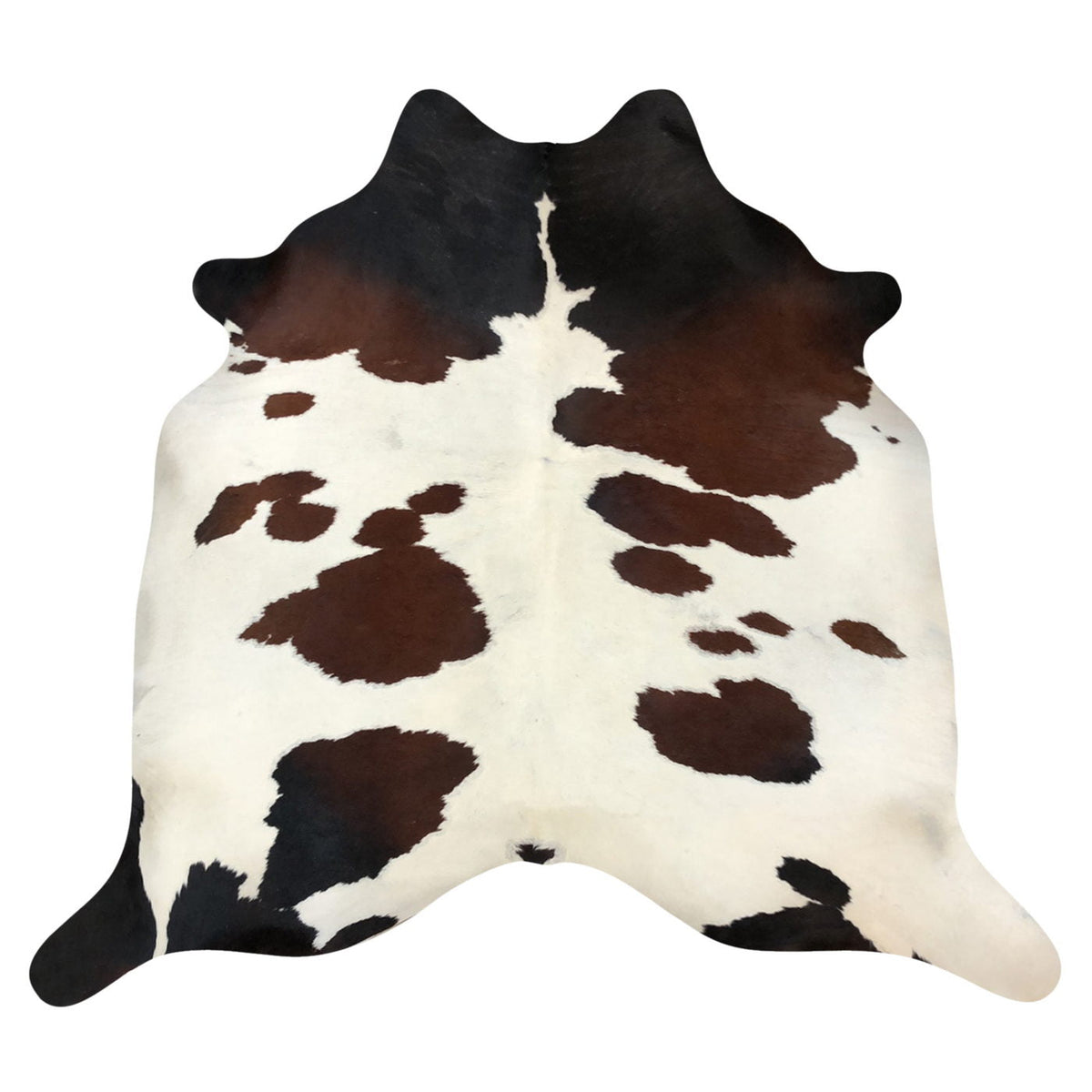 Natural Brazilian Cowhide Rug -  Ivory, Mocha & Espresso