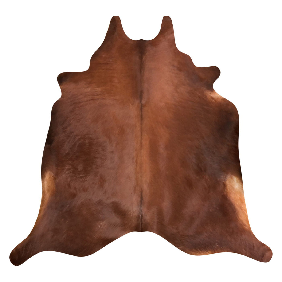 Natural Brazilian Cowhide Rug -  Mocha & Caramel