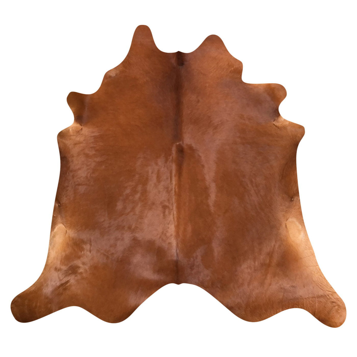 Natural Brazilian Cowhide Rug -  Mocha