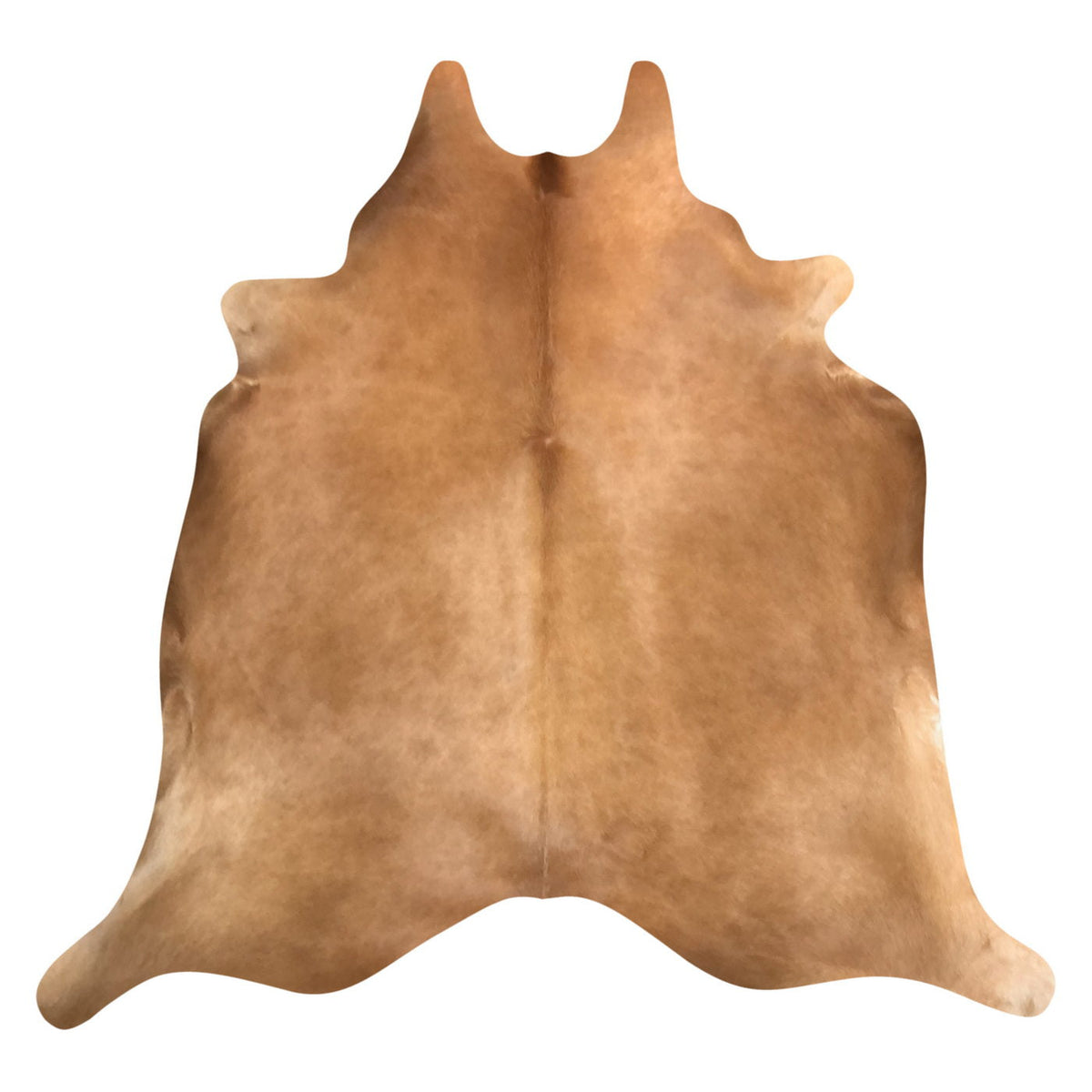 Natural Brazilian Cowhide Rug -  Caramel