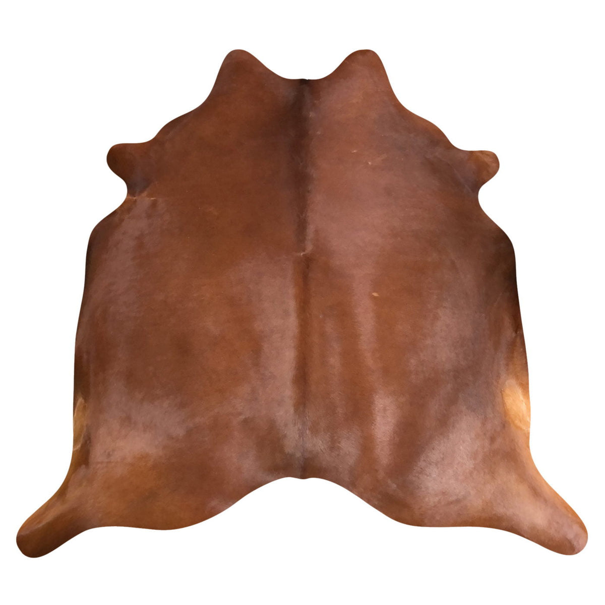 Natural Brazilian Cowhide Rug -  Mocha