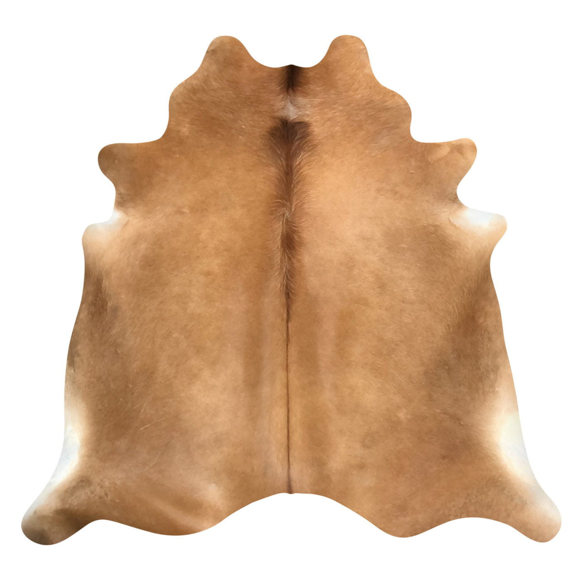 Natural Brazilian Cowhide Rug -  Caramel & Ivory