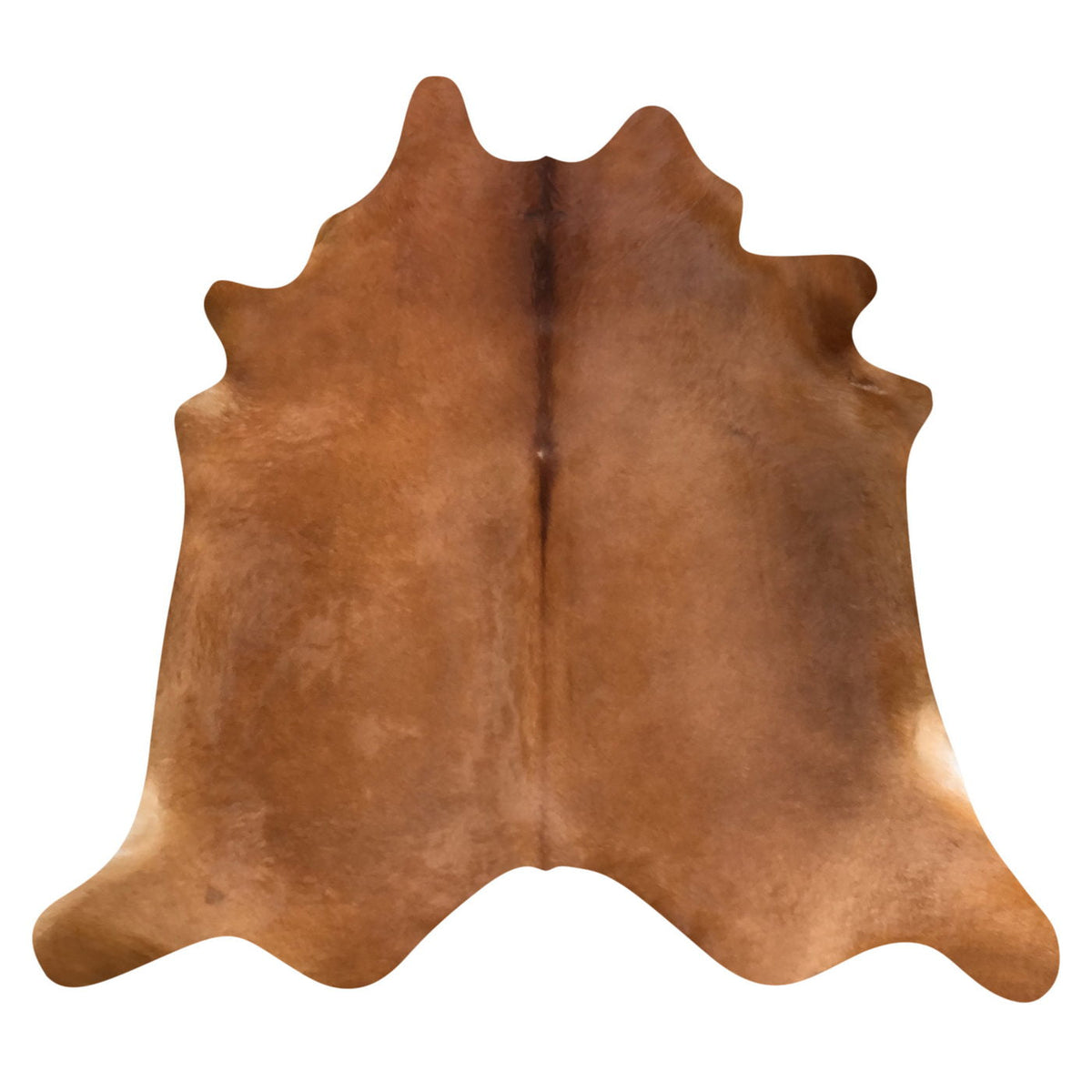 Natural Brazilian Cowhide Rug -  Mocha