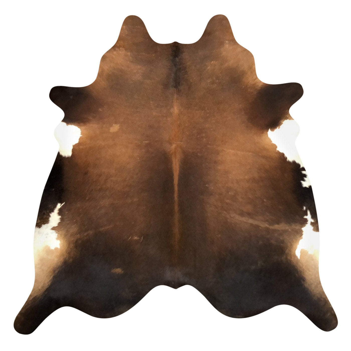 Natural Brazilian Cowhide Rug -  Caramel, Espresso & Ivory