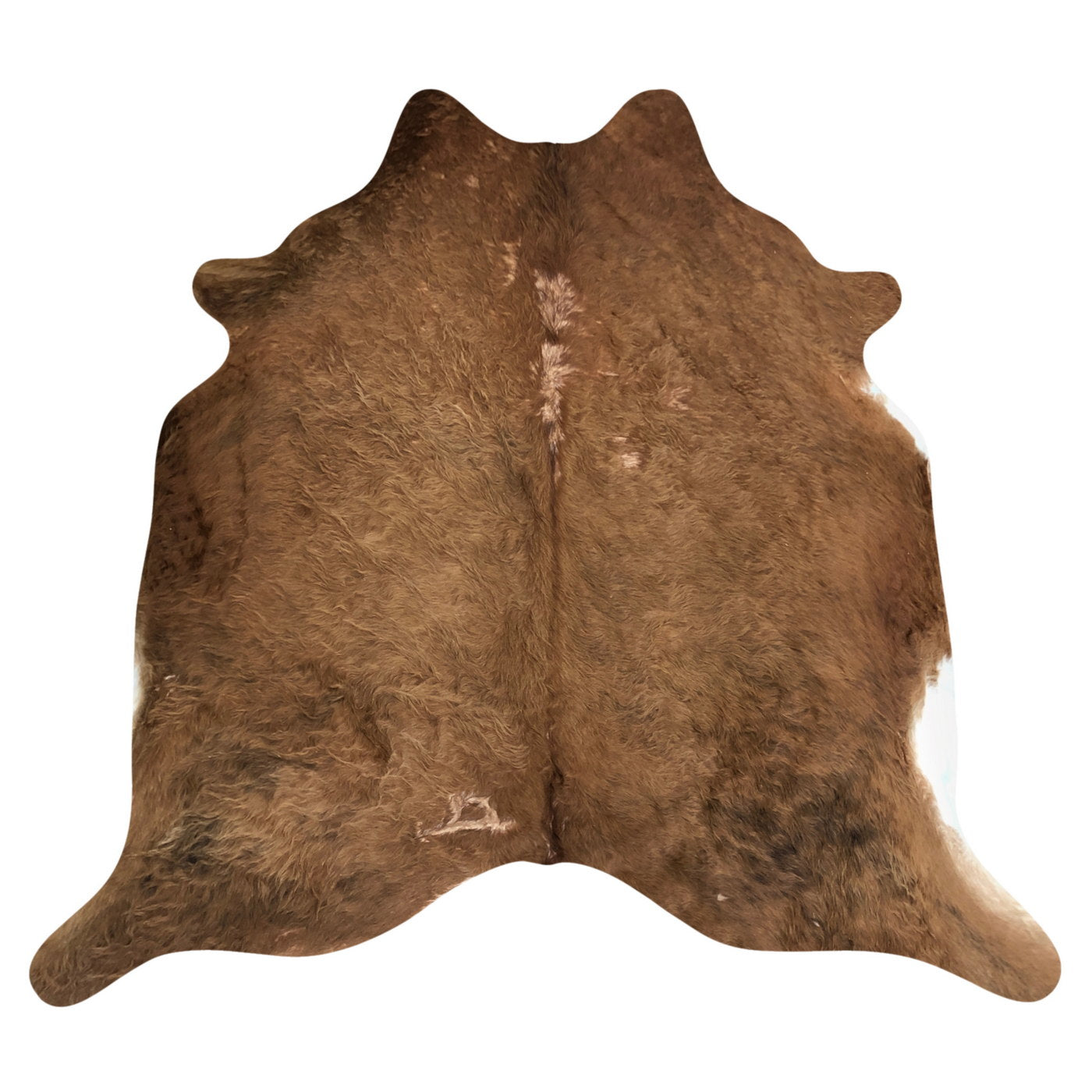 Natural Brazilian Cowhide Rug -  Mocha 
