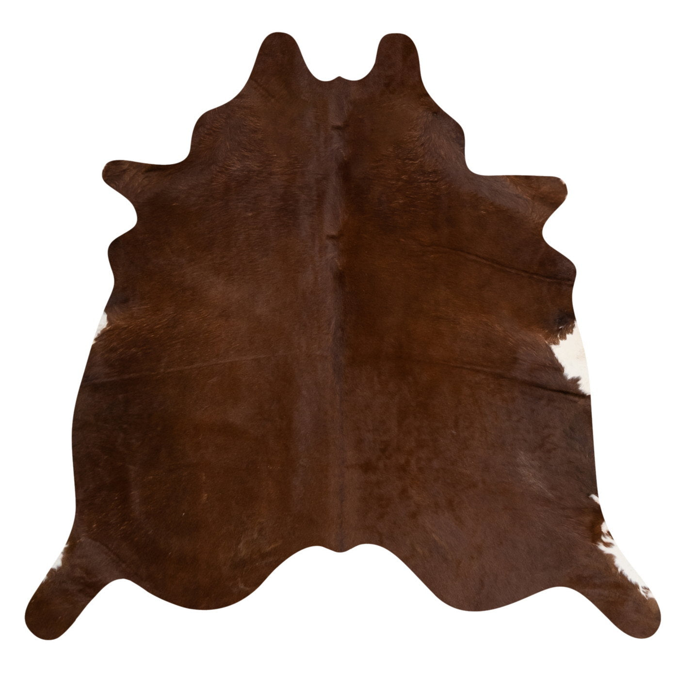 Natural Brazilian Cowhide Rug -  Mocha & Ivory