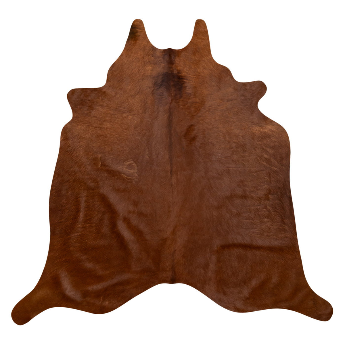 Natural Brazilian Cowhide Rug -  Mocha