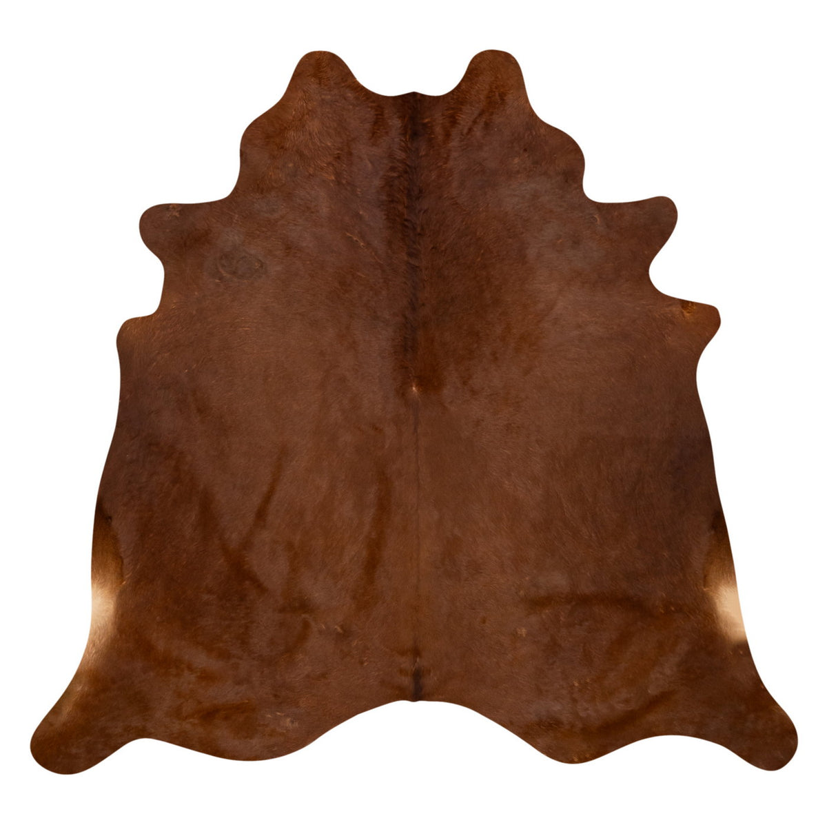 Natural Brazilian Cowhide Rug -  Mocha