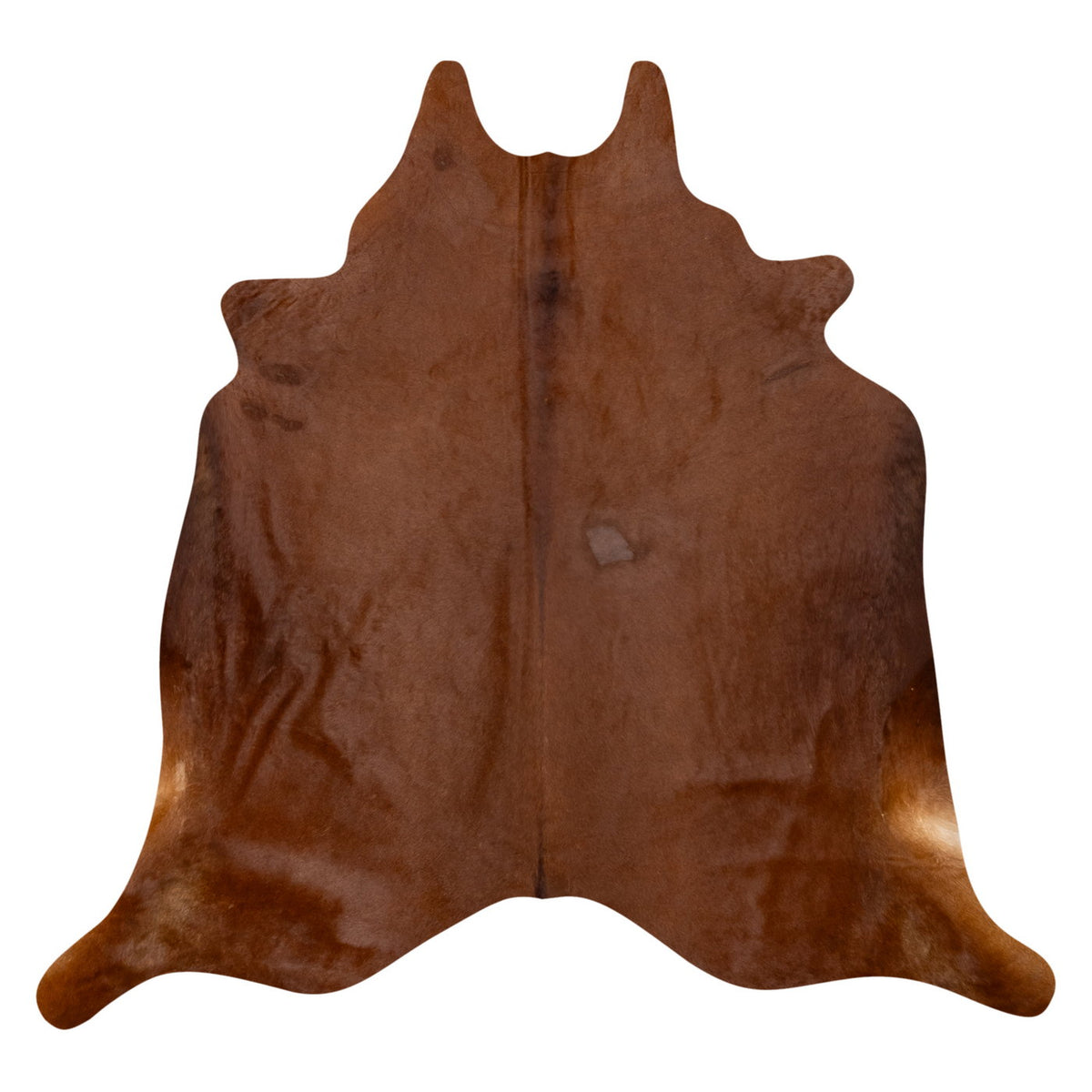 Natural Brazilian Cowhide Rug -  Mocha