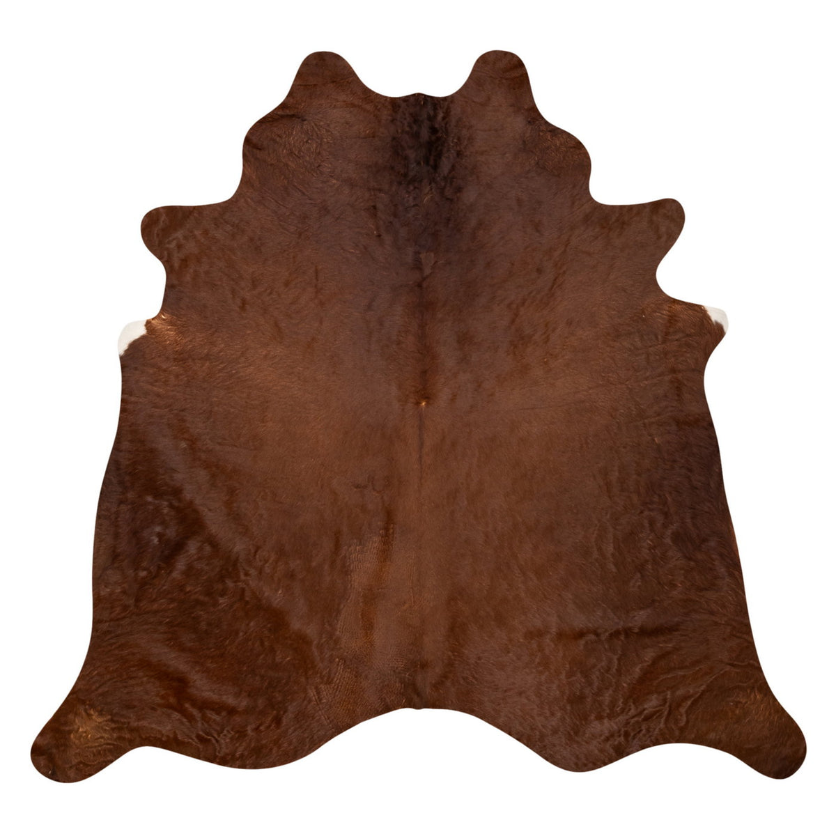 Natural Brazilian Cowhide Rug -  Mocha