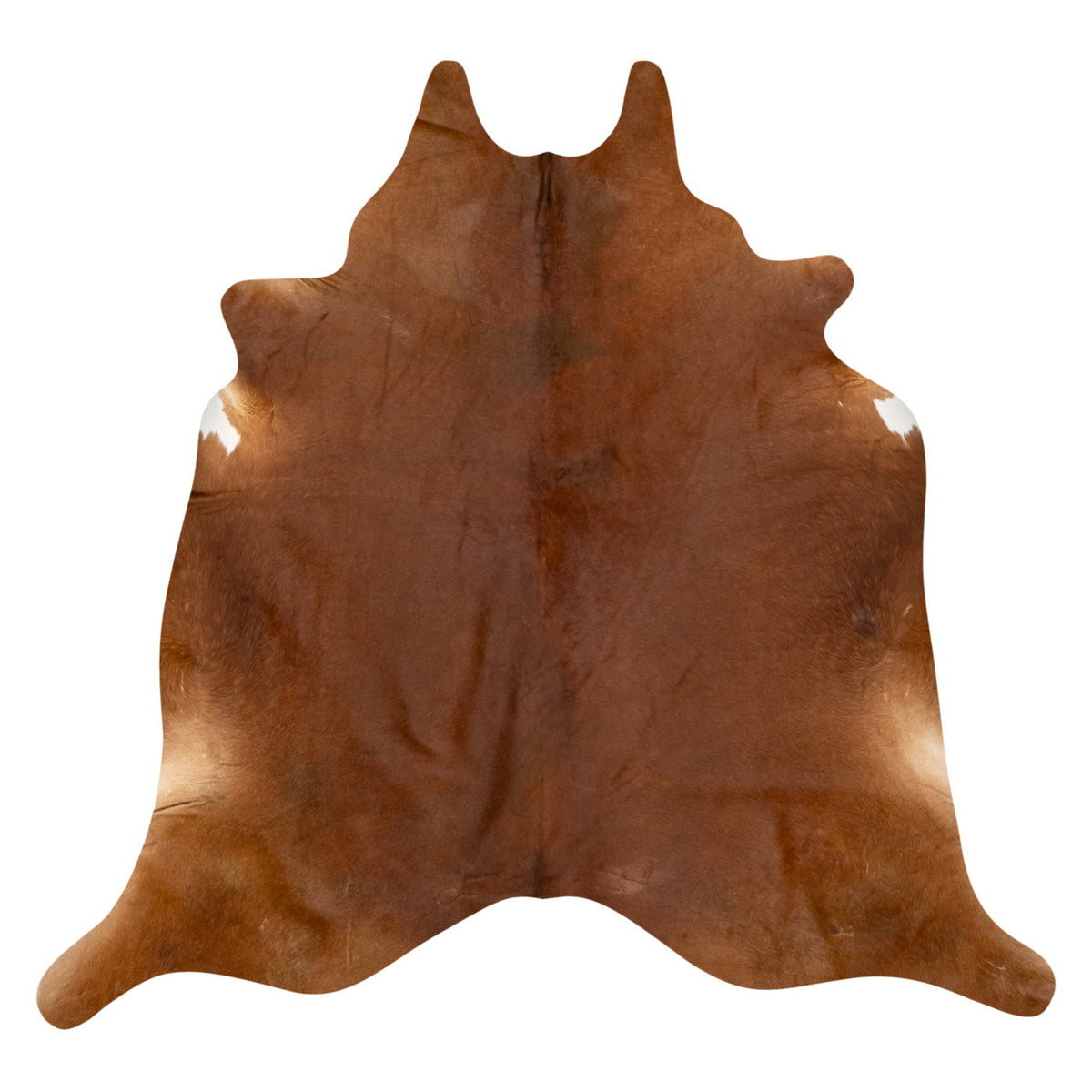 Natural Brazilian Cowhide Rug -  Mocha